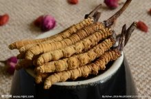 “软黄金”冬虫夏草的功效了解一下