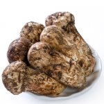 肉松茸菇多少钱一斤