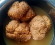 干猴头菇的泡发方法有哪些？