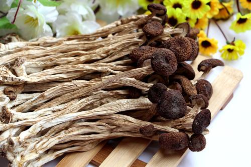 茶树菇的营养成分，食用茶树菇的好处