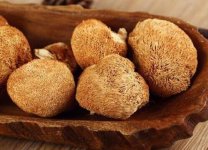 猴头菇和什么煲汤最好 教你高营养又美味的猴头菇炖汤