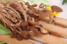 吃茶树菇会过敏吗？