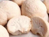 猴头菇的营养与食疗作用介绍