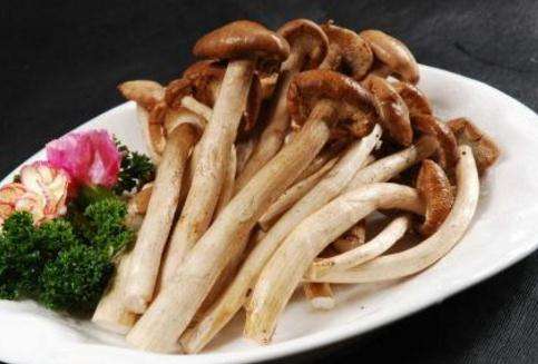 新鲜茶树菇热量高吗？适不适合减肥吃？