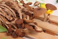 什么样的茶树菇不能吃？茶树菇要怎么保存？