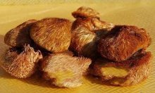 吃猴头菇的禁忌猴头菇的功效与作用
