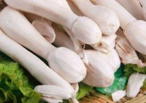蒸鸡腿菇怎么做好吃？鸡腿菇有哪些功效作用？