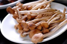 鲫鱼豆腐茶树菇汤做法