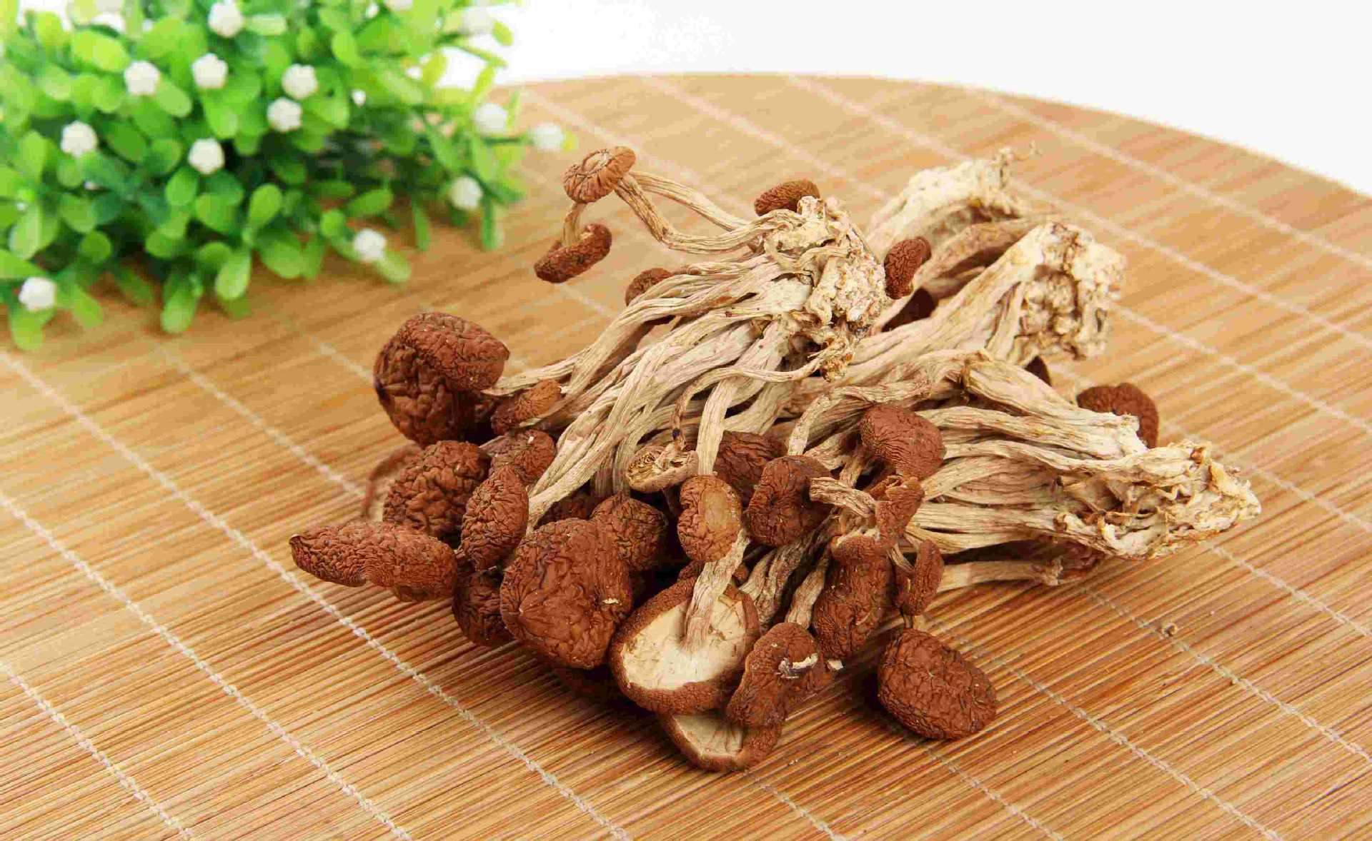 茶树菇可以和虫草花一起煮吗？茶树菇的食用禁忌是什么？