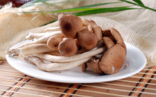 干茶树菇的价格是多少钱一斤