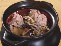 茶树菇煲汤做法，哪些人不能吃茶树菇