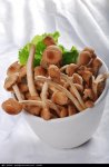 茶树菇炖鸡汤有什么功效？它是老少皆宜的补汤