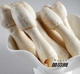 爆炒鸡腿菇怎么做好吃？