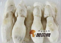 野生鸡腿菇怎么样