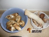 美味又营养的鸡腿菇三种做法