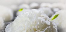 银耳泡发后可以直接吃吗