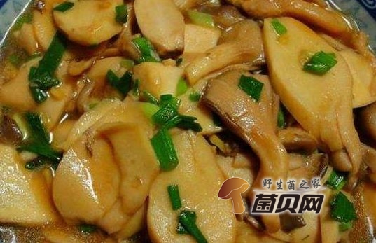 鸡腿菇的功效与作用是什么，吃法有哪些？