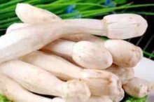 胡萝卜炒鸡腿菇的做法，教你胡萝卜炒鸡腿菇详细的做法步骤