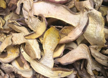 白牛肝菌和黑牛肝菌哪个好