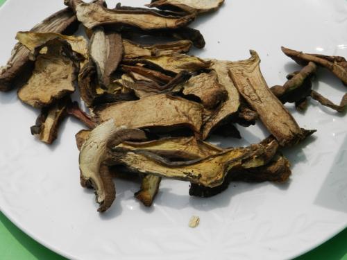 野生黑牛肝菌有毒吗