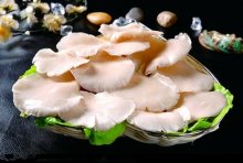 平菇的做法营养价值，平菇的食用禁忌