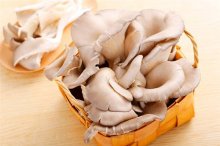 吃平菇可以治疗胃病吗？