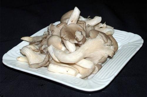 平菇食用菌种植废料能拿来喂鹅吗