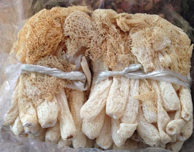 竹荪变成褐色的图片