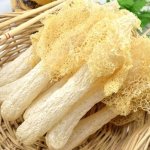 龙井茶文蛤竹荪汤的做法