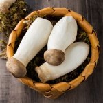 吃杏鲍菇有哪些禁忌？需要注意什么问题？
