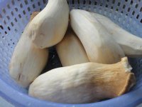 杏鲍菇的适宜人群与禁忌人群