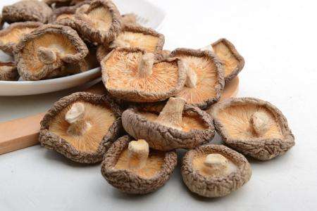 烧伤能不能吃香菇蘑菇  不建议吃