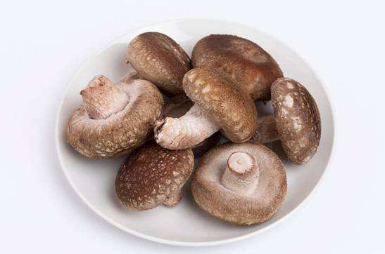 哺乳期能不能吃香菇