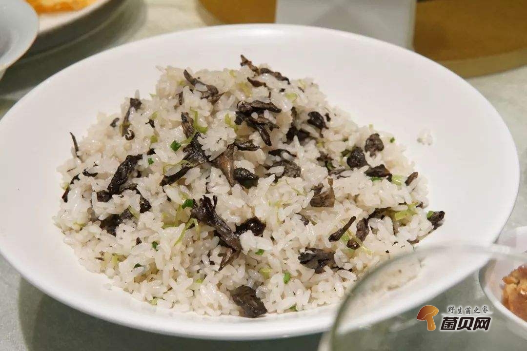 干巴菌的功效健胃消食、降脂降压、延缓衰老