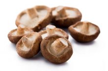 香菇蘑菇哪些人不能吃，有哪些食用禁忌
