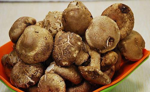 新鲜的香菇炒起来酸什么原因？还能吃吗？