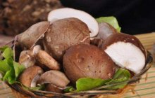 新鲜的香菇炒起来酸什么原因？还能吃吗？