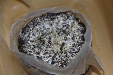 食用菌金针菇怎么栽培 金针菇种植技术