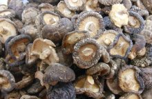香菇怎么保存？鲜菇与干菇的保存方法介绍