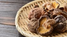 幼儿能吃香菇蘑菇吗，怎么吃更好