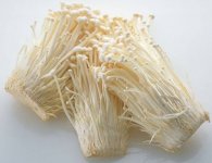 金针菇的根怎么样再生，金针菇再生的种植方法