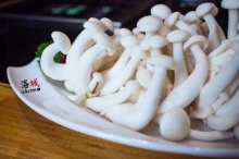 白玉菇的价格，白玉菇怎么种植