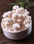 白玉菇有苦味正常吗？白玉菇怎么做简单好吃？