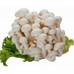 白玉菇的宜忌人群，白玉菇有哪些营养