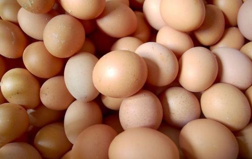 草菇能和鸡蛋一起吃吗