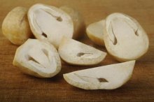 山东胶州市用麦秸秆种草菇，益菇园又育新品种