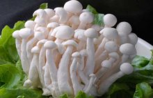 一岁半宝宝能吃白玉菇吗？怎样吃白玉菇更合适？