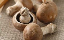 草菇所需要的营养成分是什么
