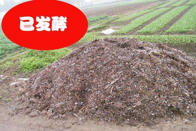 草菇废料可以用来养殖什么