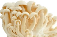白玉菇与金针菇的区别与挑选方法